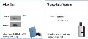 1 alleance
