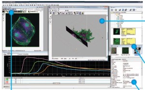 interfaccia software FV10 Olympus